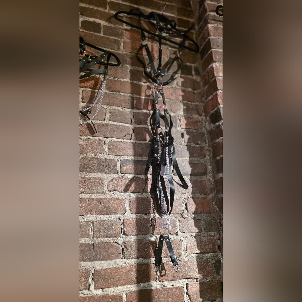 Black Leather Harness
